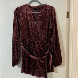 Colleen Lopez Maroon Dress with Gold Dots